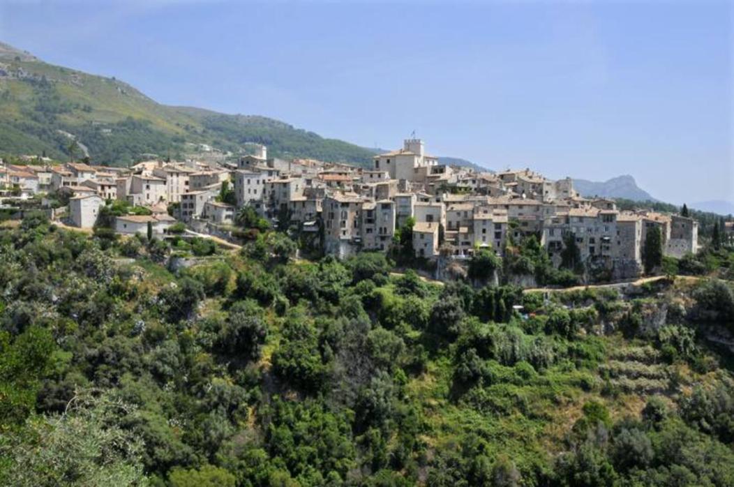 Camping Hotel Les Rives Du Loup Tourrettes-sur-Loup Bagian luar foto
